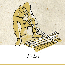 Illustration: Peler