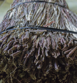 Foto: Bündel getrocknete schwarze Maulbeere