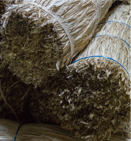 写真：藁のような白皮の土佐の楮の束 